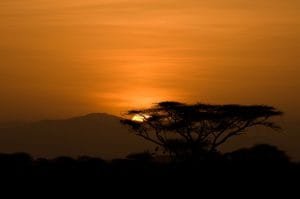 Samburu Sunrise